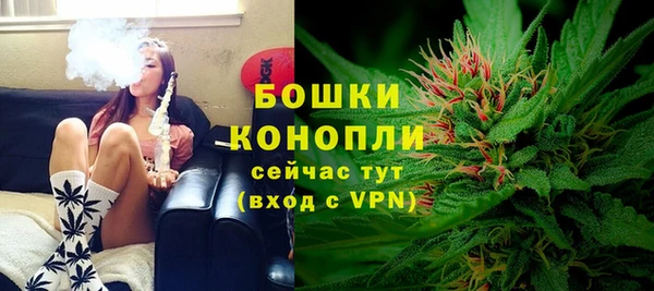 твердый Инта