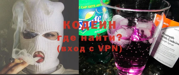 круглые Иннополис